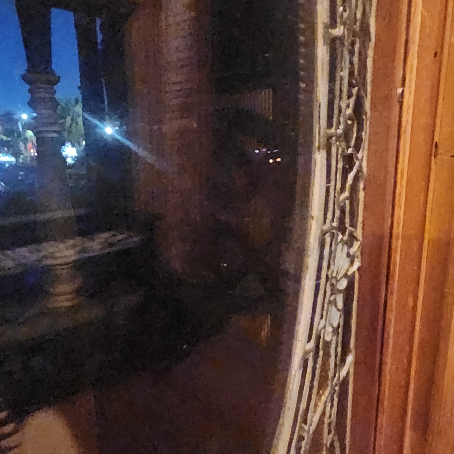 This photo was shared by Prisana W. from California, taken during the final tour on November 2, 2025. She noticed what looks to her like a figure of a little girl in the image.