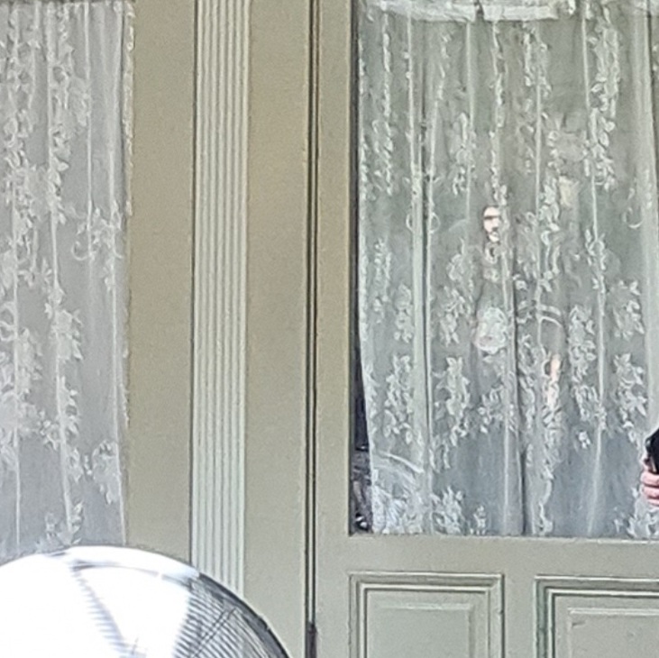 This photo was shared by Brianna R. from Arizona, who visited the mansion on May 22, 2025. She believes she saw the face of a man reflected in the glass of one of the doors. She notes that no one was near the door at the time and the rest of the tour group was too far away.